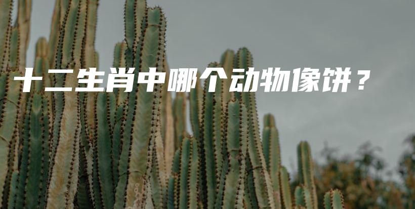 十二生肖中哪個(gè)動(dòng)物像餅？插圖