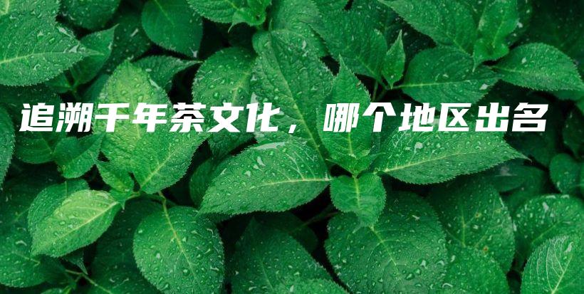 追溯千年茶文化，哪個地區(qū)出名插圖