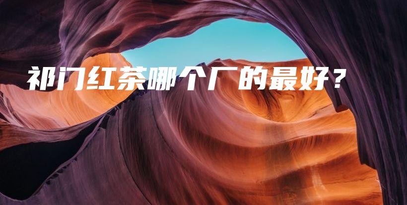 祁門紅茶哪個(gè)廠的最好？插圖