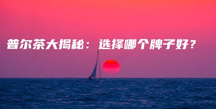 普爾茶大揭秘：選擇哪個牌子好？插圖