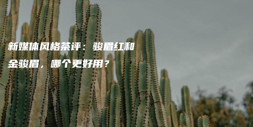 新媒體風(fēng)格茶評(píng)：駿眉紅和金駿眉，哪個(gè)更好用？插圖