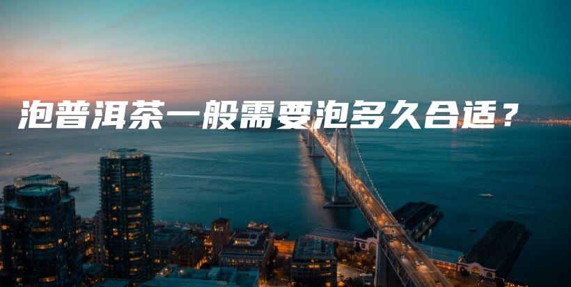 泡普洱茶一般需要泡多久合適？插圖