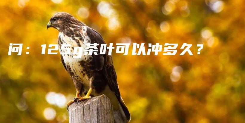 問：125g茶葉可以沖多久？插圖