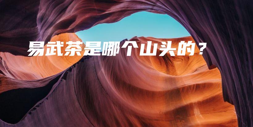 易武茶是哪個山頭的？插圖