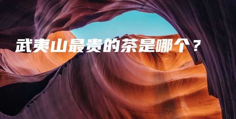 武夷山最貴的茶是哪個？插圖