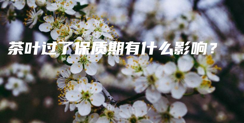 茶葉過了保質(zhì)期有什么影響？插圖