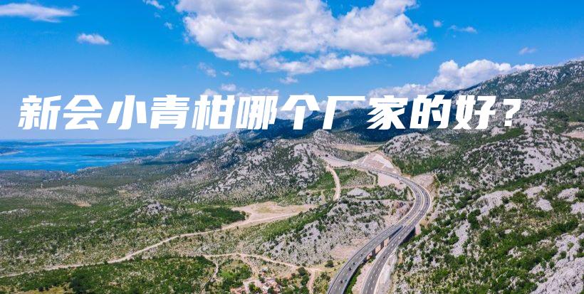 新會(huì)小青柑哪個(gè)廠家的好？插圖