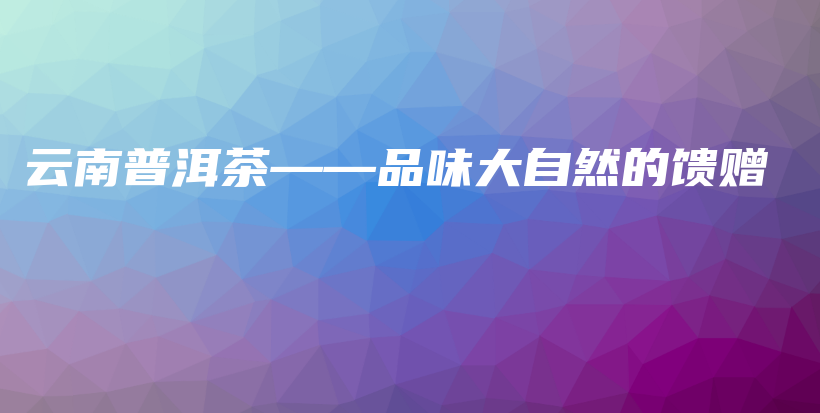 云南普洱茶——品味大自然的饋贈插圖