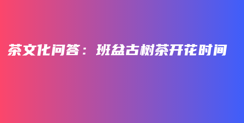 茶文化問答：班盆古樹茶開花時間插圖