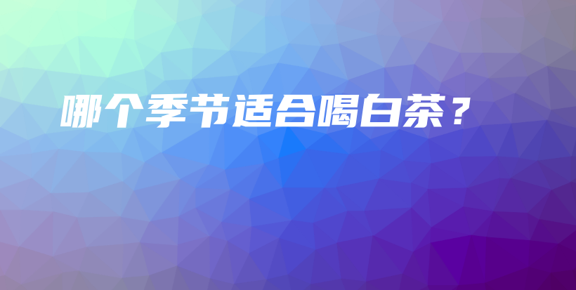 哪個季節(jié)適合喝白茶？插圖