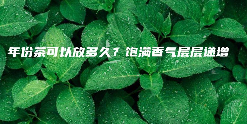 年份茶可以放多久？飽滿香氣層層遞增插圖