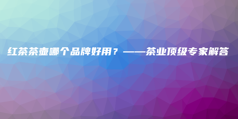 紅茶茶壺哪個(gè)品牌好用？——茶業(yè)頂級(jí)專家解答插圖
