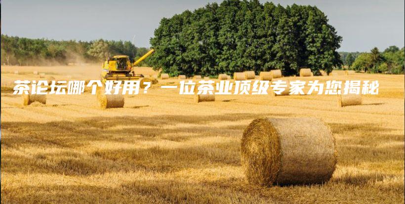茶論壇哪個(gè)好用？一位茶業(yè)頂級專家為您揭秘插圖