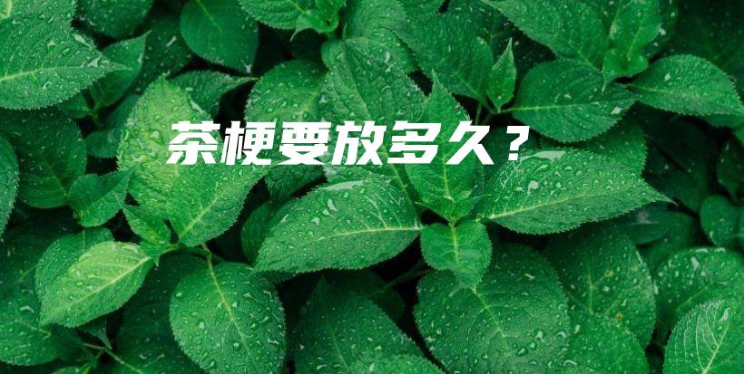 茶梗要放多久？插圖