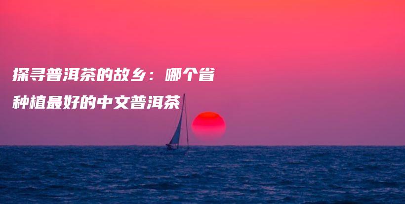探尋普洱茶的故鄉(xiāng)：哪個省種植最好的中文普洱茶插圖