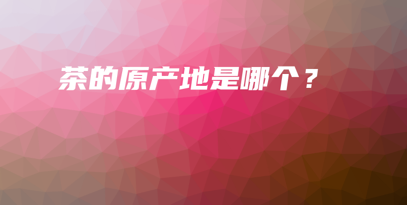 茶的原產(chǎn)地是哪個？插圖