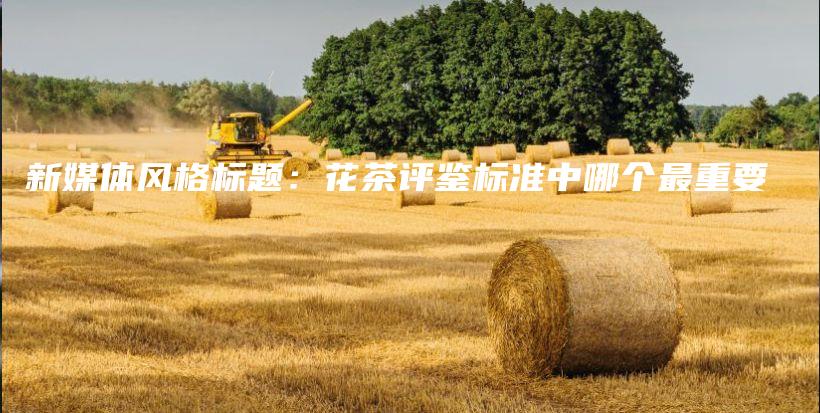 新媒體風(fēng)格標(biāo)題：花茶評(píng)鑒標(biāo)準(zhǔn)中哪個(gè)最重要插圖