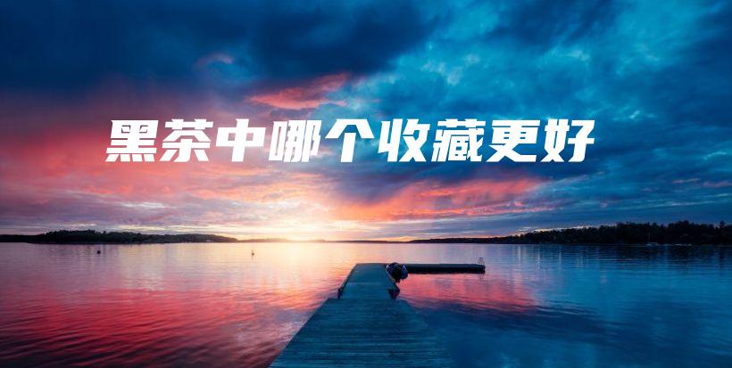 黑茶中哪個收藏更好插圖