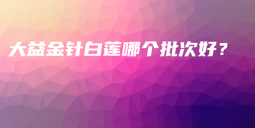 大益金針白蓮哪個(gè)批次好？插圖