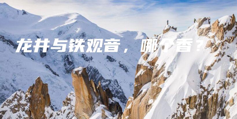 龍井與鐵觀音，哪個(gè)香？插圖