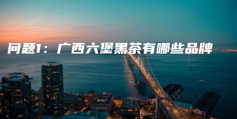 問題1：廣西六堡黑茶有哪些品牌插圖