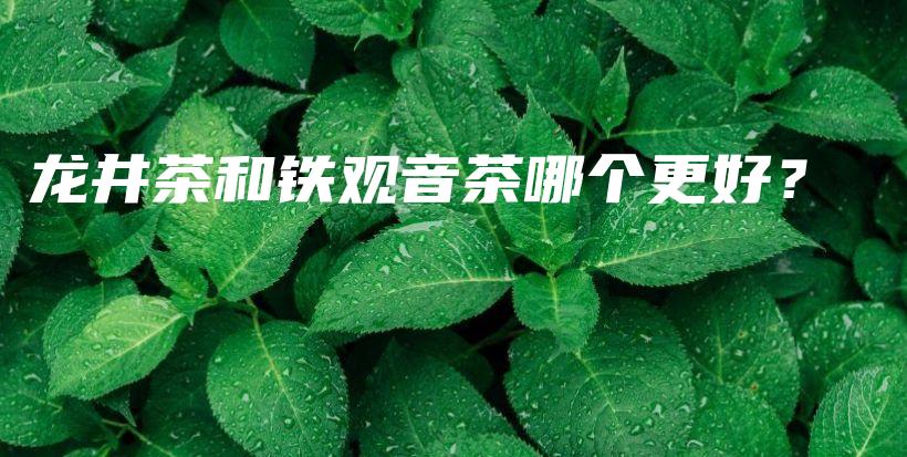 龍井茶和鐵觀音茶哪個更好？插圖