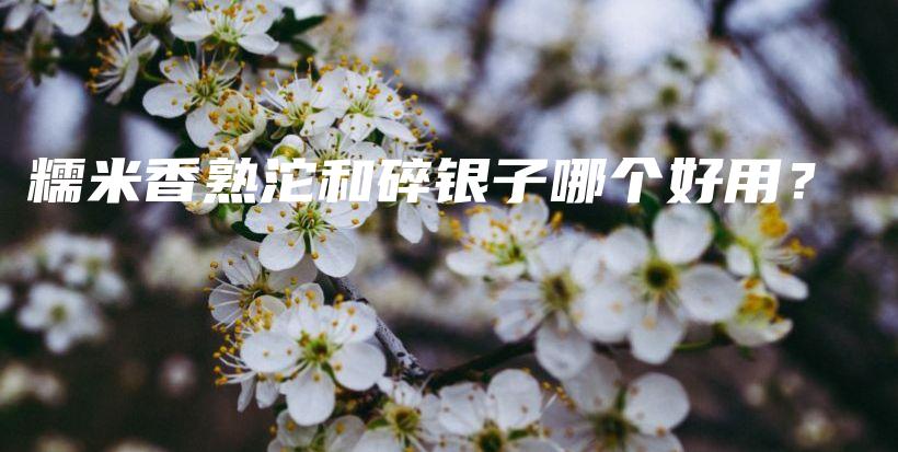 糯米香熟沱和碎銀子哪個好用？插圖