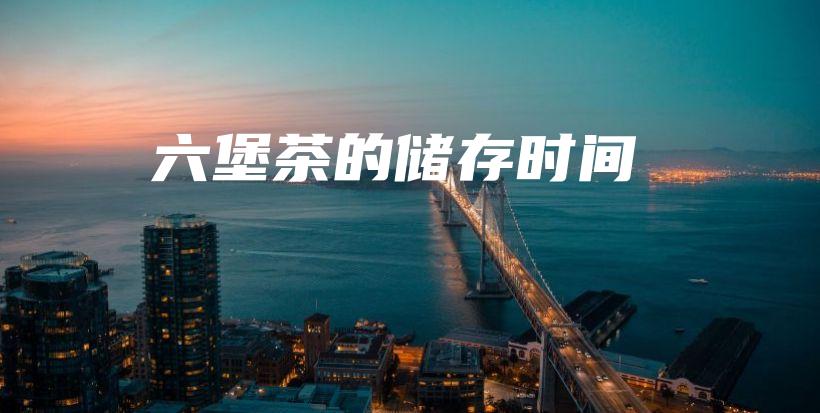 六堡茶的儲存時間插圖