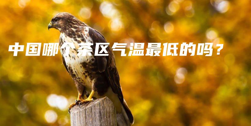 中國(guó)哪個(gè)茶區(qū)氣溫最低的嗎？插圖