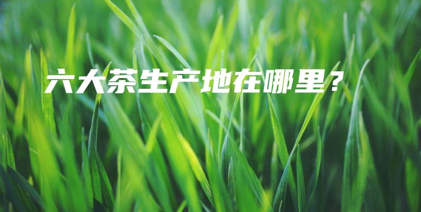六大茶生產(chǎn)地在哪里？插圖