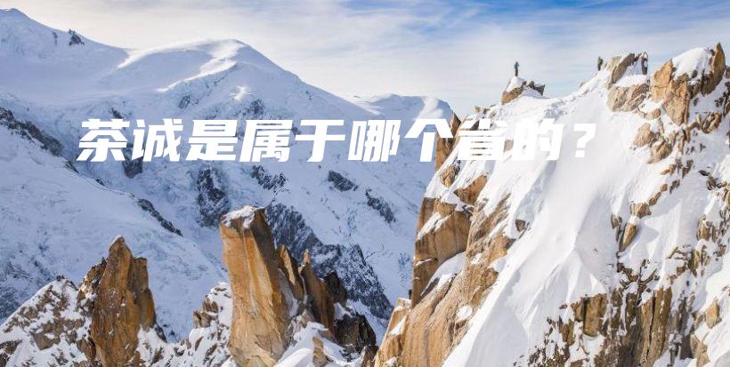 茶誠是屬于哪個(gè)省的？插圖