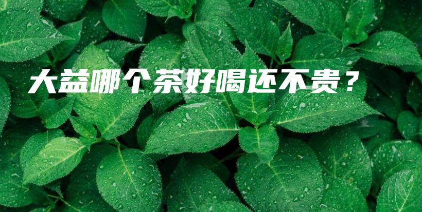 大益哪個(gè)茶好喝還不貴？插圖