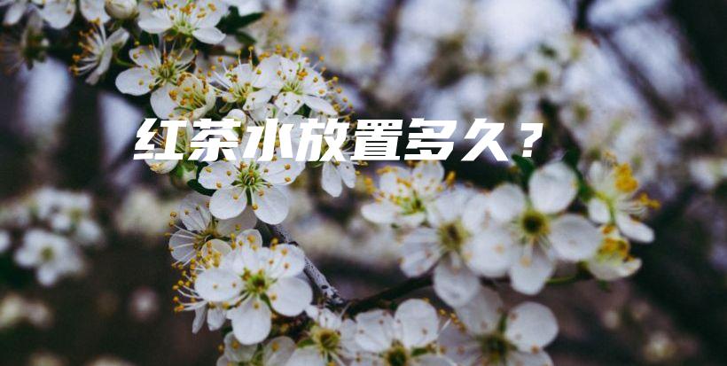 紅茶水放置多久？插圖