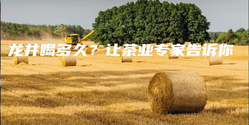 龍井喝多久？讓茶業(yè)專家告訴你插圖