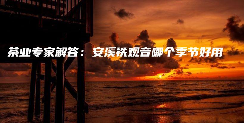 茶業(yè)專家解答：安溪鐵觀音哪個季節(jié)好用插圖