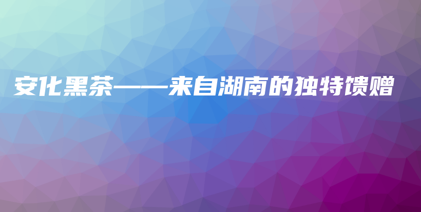 安化黑茶——來自湖南的獨特饋贈插圖