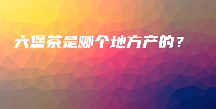 六堡茶是哪個(gè)地方產(chǎn)的？插圖
