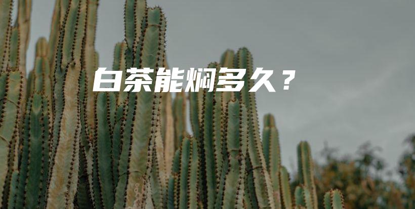 白茶能燜多久？插圖