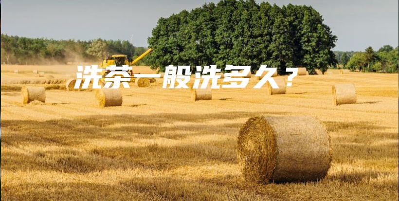 洗茶一般洗多久？插圖