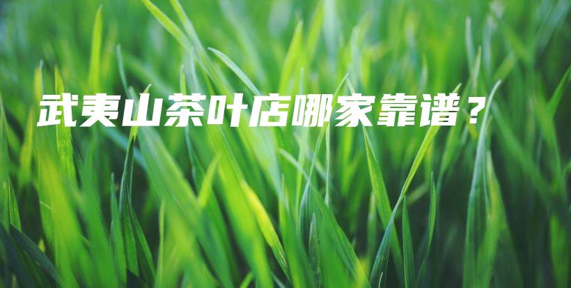 武夷山茶葉店哪家靠譜？插圖