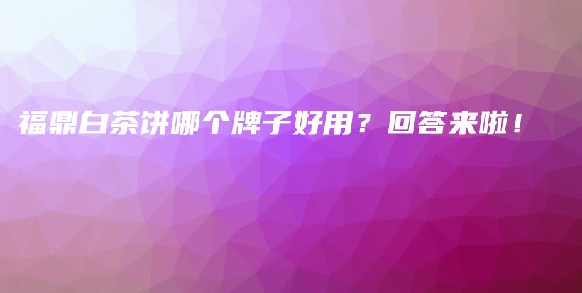 福鼎白茶餅哪個牌子好用？回答來啦！插圖