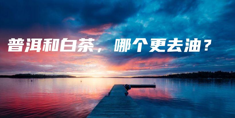 普洱和白茶，哪個(gè)更去油？插圖