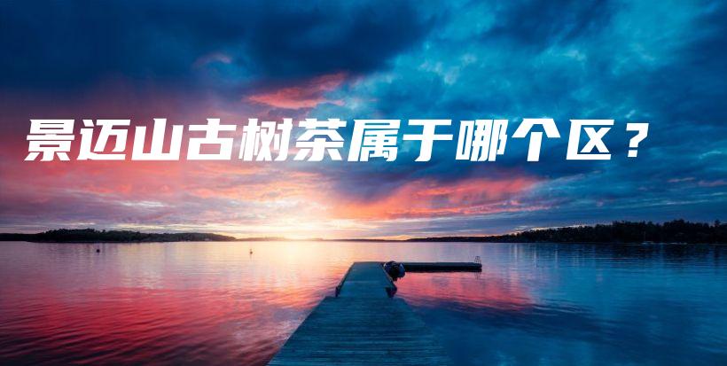 景邁山古樹茶屬于哪個(gè)區(qū)？插圖