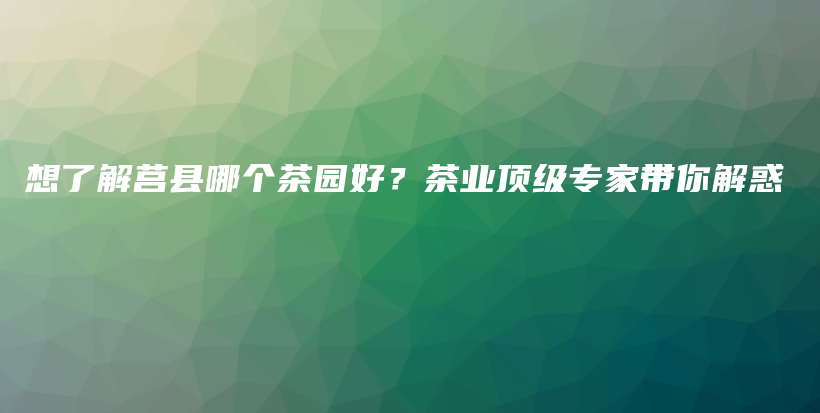 想了解莒縣哪個茶園好？茶業(yè)頂級專家?guī)憬饣蟛鍒D