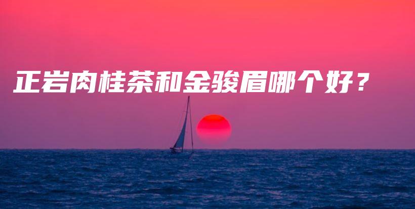 正巖肉桂茶和金駿眉哪個好？插圖