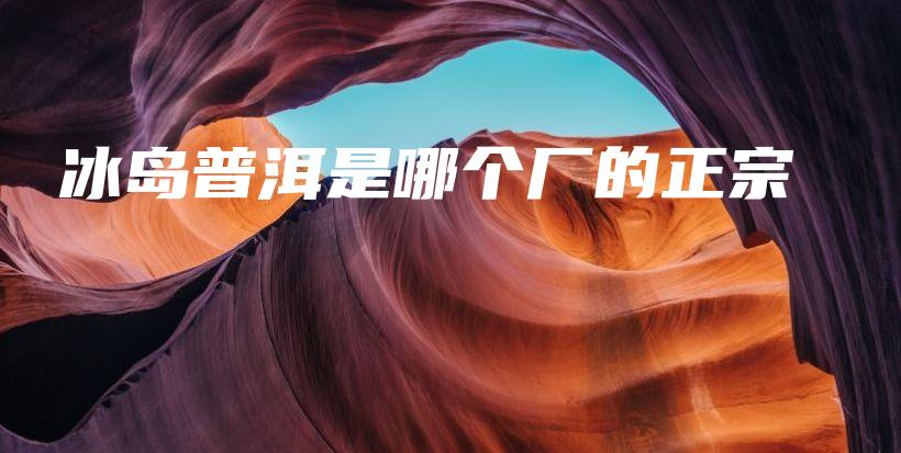冰島普洱是哪個廠的正宗插圖