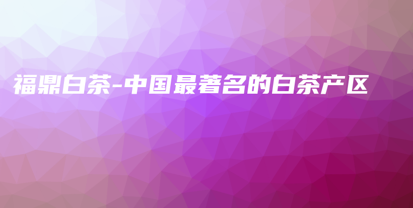 福鼎白茶-中國(guó)最著名的白茶產(chǎn)區(qū)插圖