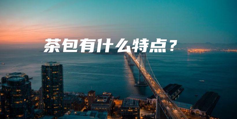 茶包有什么特點(diǎn)？插圖