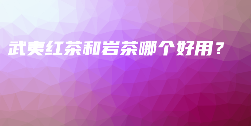 武夷紅茶和巖茶哪個(gè)好用？插圖