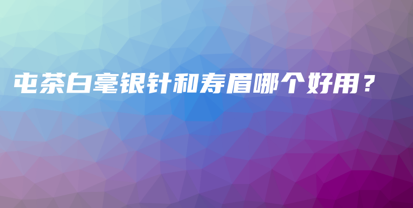 屯茶白毫銀針和壽眉哪個(gè)好用？插圖